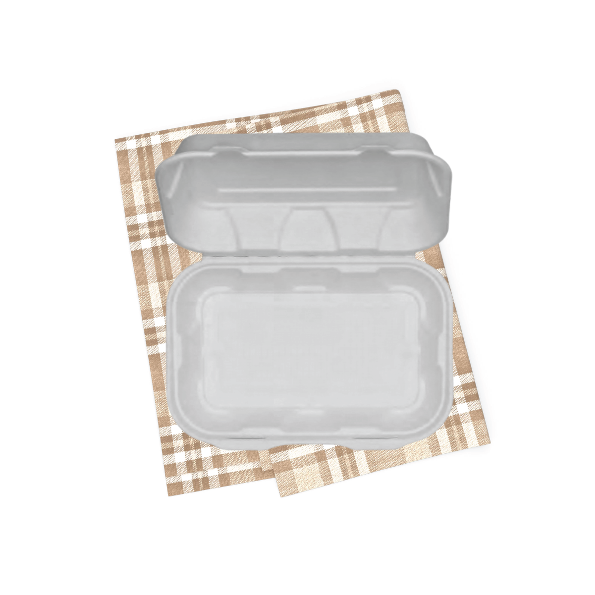 9x6 Disposable Clamshell